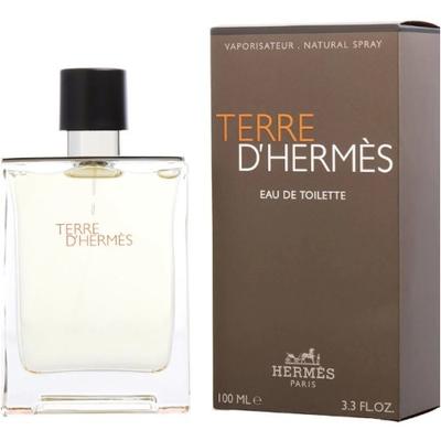 Hermes Terre D'Hermes Eau de Toilette Spray for Men