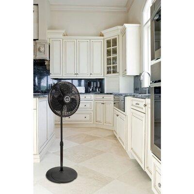 Lasko 16" Oscillating Floor Fan in Black, Size 53.0 H x 10.0 W x 6.0 D in | Wayfair 2527