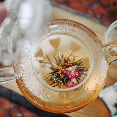 Grosche Monaco Infuser Teapot Glass | 7.5 H x 8.5 W x 8.5 D in | Wayfair GR 174