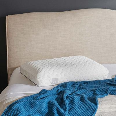 Tempur-Pedic Tempur-Cloud® Memory Foam Plush Support Pillow Polyester/Memory Foam | 15.75 H x 24 W in | Wayfair 15316221P