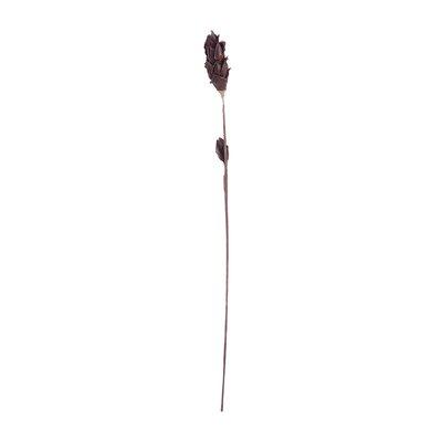 August Grove® Corn Leaf Pole, Size 58.0 H x 3.0 W x 3.0 D in | Wayfair ATGR3893 28469489