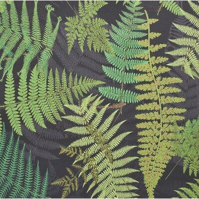 Schumacher kids x Clements Ribeiro Fernarium Wallpaper Fabric in Green/Black | 53.75 W in | Wayfair 5009191