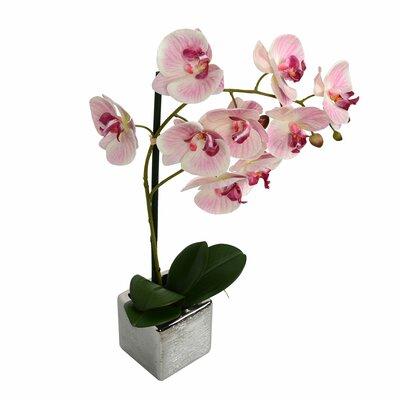 House of Hampton® Artificial Phalaenopsis Orchid Floral Arrangement in Pot in Gray/Pink, Size 20.0 H x 12.0 W x 6.0 D in | Wayfair
