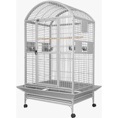 Archie & Oscar™ Dwight Extra Large Dome Top Bird Cage Iron in Gray, Size 65.0 H x 36.0 W x 48.0 D in | Wayfair 00037EAFD1FC456B9D7252C4062A68EB