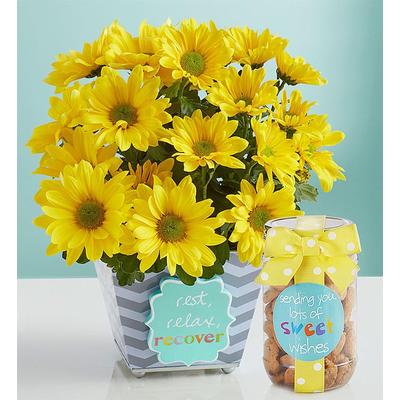 1-800-Flowers Everyday Gift Delivery Rest Relax Recover Rest, Relax, Recover & Cookies