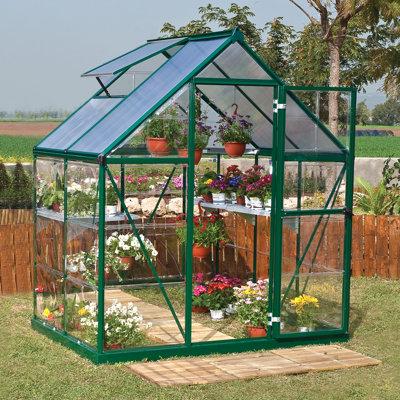 Canopia by Palram Hybrid 6 Ft. W x 4 Ft. D Hobby house Aluminum/Polycarbonate Panels in Green, Size 81.9 H x 72.8 W x 4.13 D in | Wayfair 701652