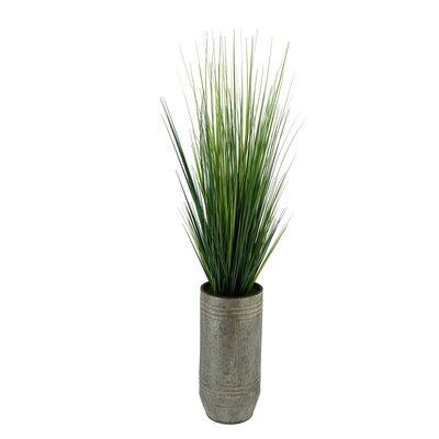 Gracie Oaks Reed Grass in Planter Plastic/Metal in Gray, Size 56.0 H x 14.0 W x 14.0 D in | Wayfair 04741CD054C04632A535487F82DD0E46