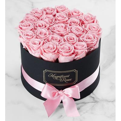 1-800-Flowers Flower Delivery Magnificent Preserved Roses Premier Pink | Happiness Delivered To Their Door