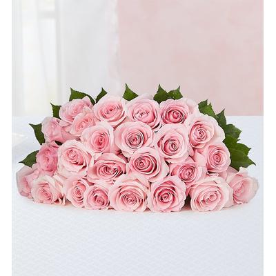 1-800-Flowers Flower Delivery Pink Petal Roses 24 Stems Bouquet | Happiness Delivered To Their Door