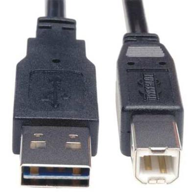 TRIPP LITE UR022-010 Reversible USB Cable,Black,10 ft.