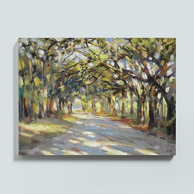 Southern Oaks Stretched Canvas - 30