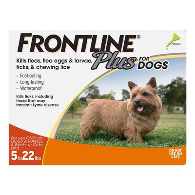 Frontline Plus For Small Dogs Upto 10kg (Upto 22lbs) Orange 6 Pipettes