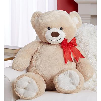 1-800-Flowers Everyday Gift Delivery Lotsa Love Big Bear For Birthday