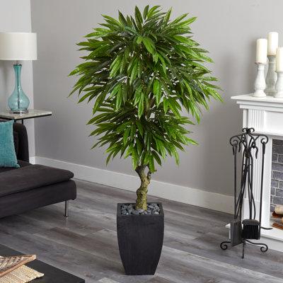 Latitude Run® 5.5ft. Mango Artificial Tree in Black Wash Planter UV Resistant (Indoor/Outdoor) Silk/Ceramic/Plastic | 66 H x 33 W x 25 D in | Wayfair