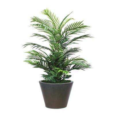 Fleur De Lis Living Palm Plant in Planter Silk/Metal in Brown, Size 48.0 H x 20.0 W x 20.0 D in | Wayfair FDLL2822 39135209