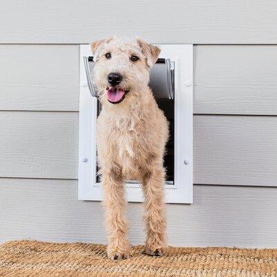 PetSafe® Wall Entry Pet Door, Size 17.13 H x 12.25 W x 7.25 D in | Wayfair ZPA00-16202