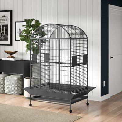 Archie & Oscar™ Dwight Extra Large Dome Top Bird Cage Iron in Gray/Black/Brown | 65 H x 36 W x 48 D in | Wayfair B8A7E78FCD5A467D9EDFD989E77A805E