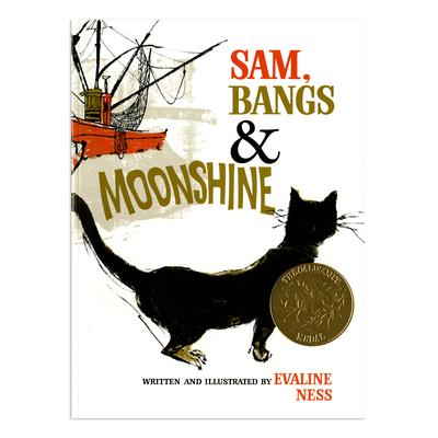 Macmillan Picture Books - Sam Bangs & Moonshine Hardcover Hardcover Picture Book