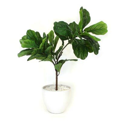 Brayden Studio® Fiddle Leaf Fig Plant in Pot Silk/Ceramic | 34 H x 25 W x 21 D in | Wayfair 23D6920FDE58445DA0183B001AF72189