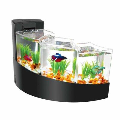 Tucker Murphy Pet™ Halterman Novelty Aquarium Tank in Black | 16.5 H x 11.2 W x 7.5 D in | Wayfair 64F1F2229BF24CE58ABD4C9CBF35B1FA