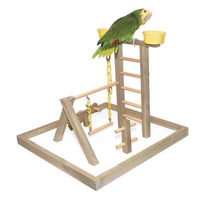 Featherland/Paradise Acrobird Wooden Playground Wood in Brown, Size 30.0 H x 24.0 W x 24.0 D in | Wayfair PG24
