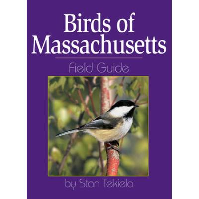 Birds Of Massachusetts Field Guide