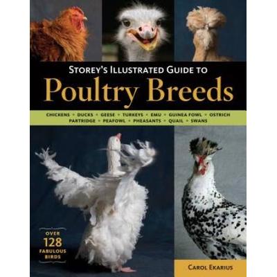 Storey's Illustrated Guide To Poultry Breeds: Chickens, Ducks, Geese, Turkeys, Emus, Guinea Fowl, Ostriches, Partridges, Peafowl, Pheasants, Quails, S