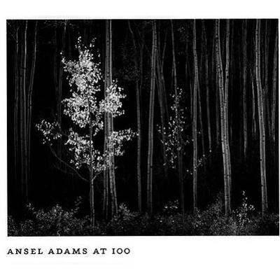 Ansel Adams At 100