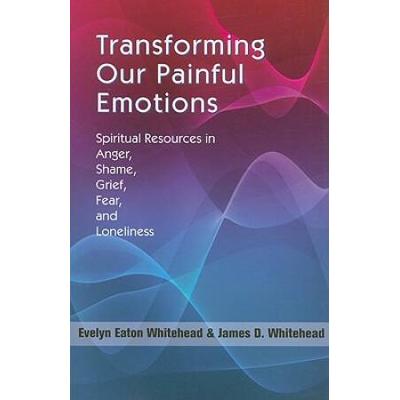 Transforming Our Painful Emotions: Spiritual Resources In Anger, Shame, Grief, Fear And Loneliness
