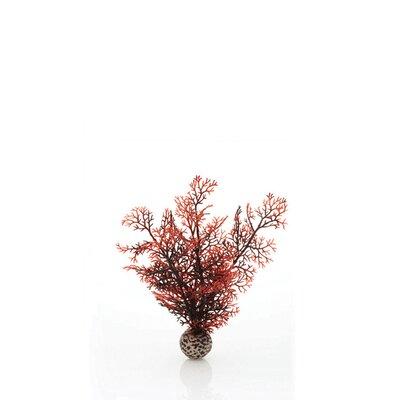 biOrb Aquarium Accessory Acrylic (shatterproof w/ great clarity) in Red | 7.87 H x 3.15 W x 3.15 D in | Wayfair 46069
