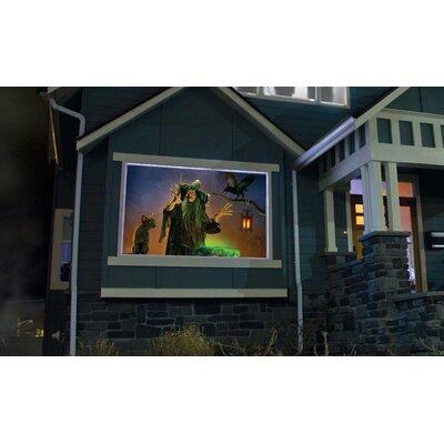 Holiscapes Atmosfx Witching Hour DVD Halloween Digital Decoration | Wayfair Atmos-DVD-WH