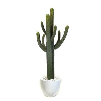 Dalmarko Designs Thorny Floor Cactus Plant in Planter Ceramic/Plastic in White | 70 H x 26 W x 20 D in | Wayfair dmr1120