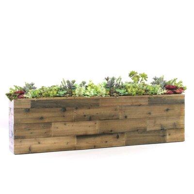 Dalmarko Designs Reclaimed Wood Look Box Floor Succulent Plant in Planter Wood/Plastic in Brown | 60 H x 23 W x 14 D in | Wayfair dmr1013