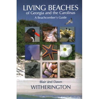 Living Beaches Of Georgia And The Carolinas: A Beachcomber's Guide