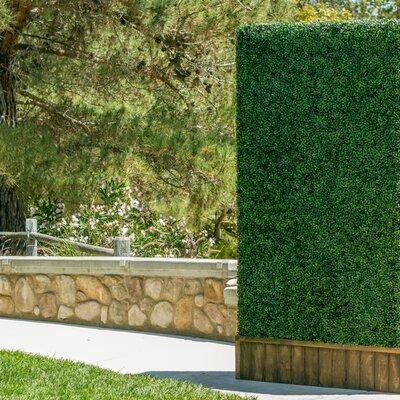 Wade Logan® 20” x 20” Artificial Boxwood Hedge Leaves Grass Wall Panels in Gray | 20 H x 20 W x 1 D in | Wayfair F8175B5AD55848F6BF77079242783F58