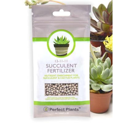 Perfect Plants Fertilizer - Succulent Slow Release Fertilizer