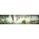AllenbyArt An Exceptional Photography Of Foggy Forest - Unframed Photograph Paper in Green/White | 24 H x 36 W x 0.5 D in | Wayfair