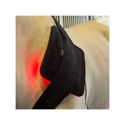 Equine Light Therapy Medium Light Therapy Pad - Smartpak