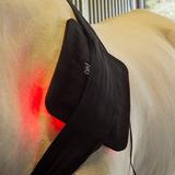 Equine Light Therapy Medium Light Therapy Pad - Smartpak