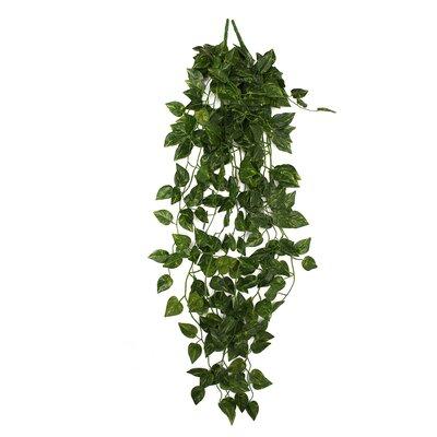 Primrue Hanging Bush Ivy Plant, Polyester, Size 38.58 H in | Wayfair CA5A0209DCE0457AB9A5DABAE27F76FE