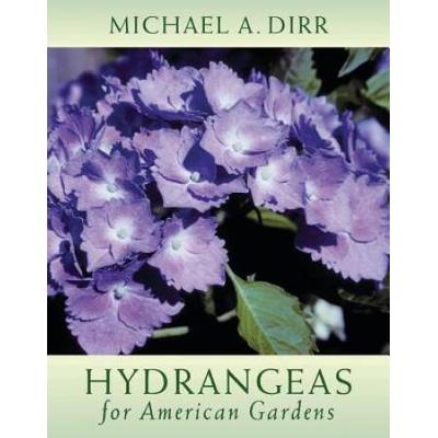 Hydrangeas For American Gardens