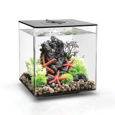 biOrb 8 Gallon Square Aquarium Tank w/ MCR Light Acrylic (shatterproof w/ great clarity) in Black | 13.6 H x 12.6 W x 12.6 D in | Wayfair 72020