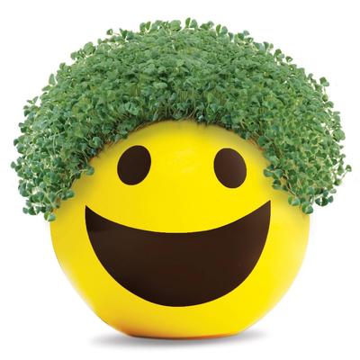 Chia Emoji - Smiley, dolls, puppets, and figures
