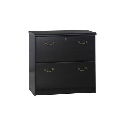 2 Drawer Lateral Filing Cabinets File Cabinet by Saint Birch in Espresso