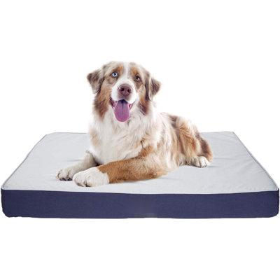 Tucker Murphy Pet™ Dog Bed Defender Series, IPX5 Certified Indoor/Outdoor Dog Bed, Large Navy Polyester/Memory Foam in White | Wayfair