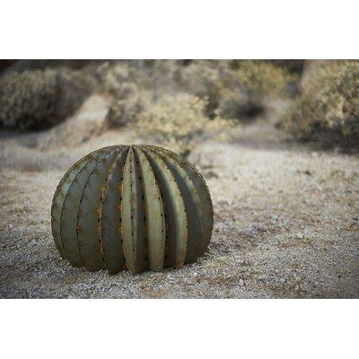 Desert Steel Golden Barrel Cactus Landscape Ornament Metal in Green | 9.25 H x 13.5 W x 13.5 D in | Wayfair 300-010V