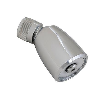 CHICAGO FAUCET 620-LCP Shower Head, Chrome, Wall