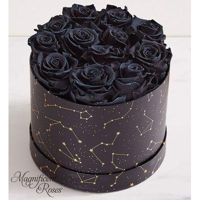 1-800-Flowers Flower Delivery Magnificent Roses Preserved Night Sky Magnificent Roses Night Sky Black