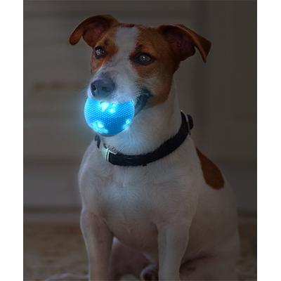Tech Zebra Balls & Fetch Toys Blue - Blue LED Paw Bouncy Pet Ball