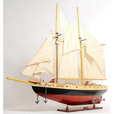 Old Modern Handicrafts Large Bluenose Ii Model Ship Wood in Brown/Gray | 41 H x 47 W x 9 D in | Wayfair Y095